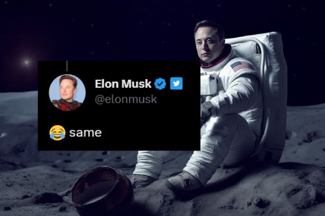 Elon Musk Replies To SnailMoon