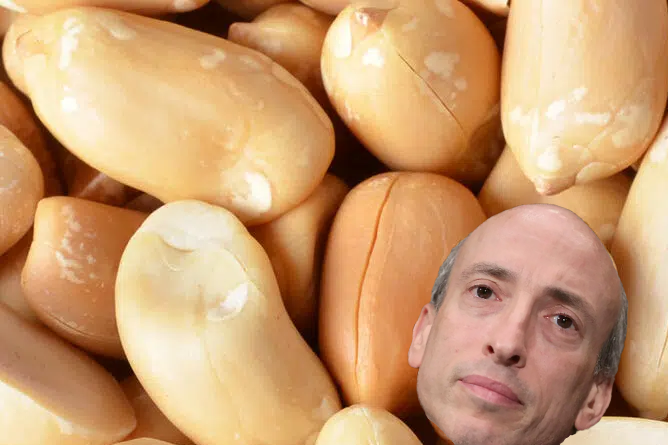 Gary Gensler Found To Be Rare Variety Of Talking Peanut